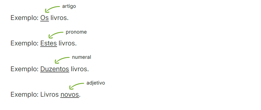 Como regra geral, artigos, pronomes, numerais e adjetivos devem concordar
em gênero (feminino e masculino) e número (singular e plural) com o
substantivo que acompanham