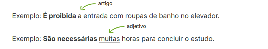 Essas expressões concordam com o sujeito quando ele for precedido de algum
modificador (artigo, pronome, numeral etc.).