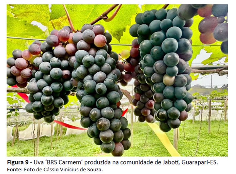 Exemplo de figura com legenda explicativa e fonte indicando sua procedência.