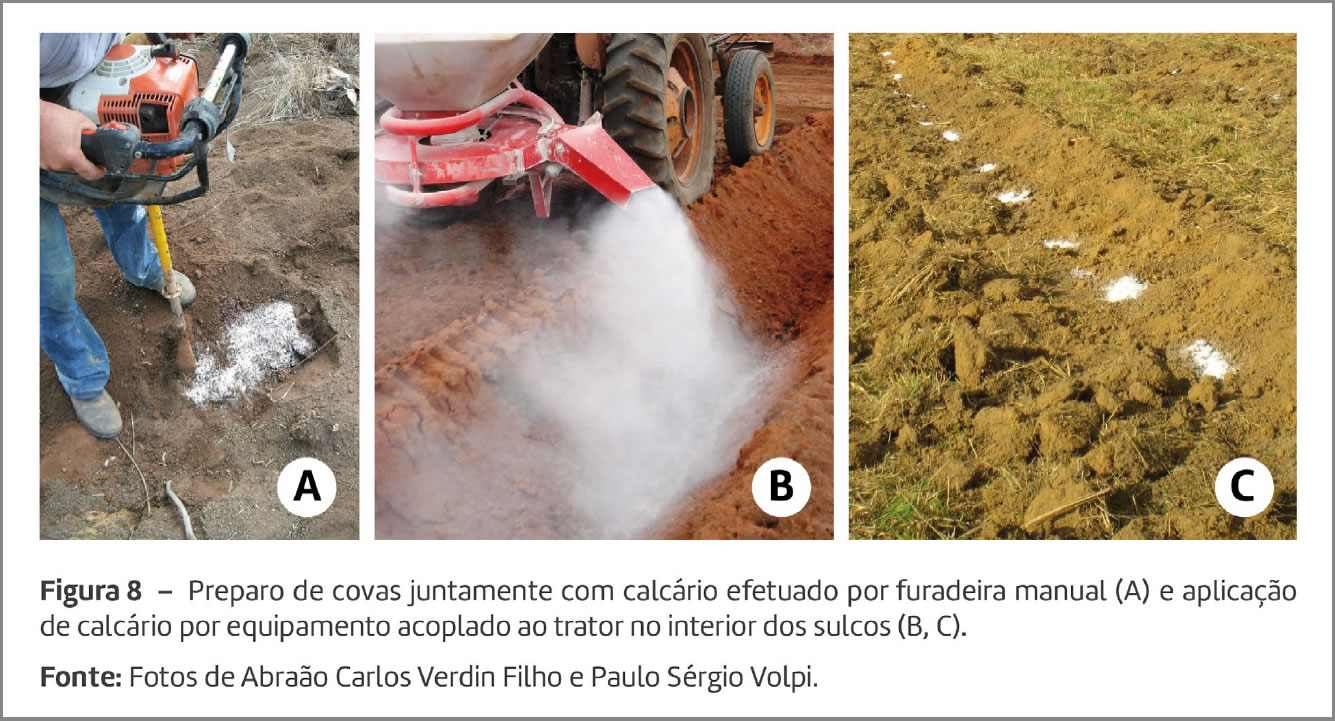 Exemplo de figuras compostas com as respectivas identificações por meio de
letras.
